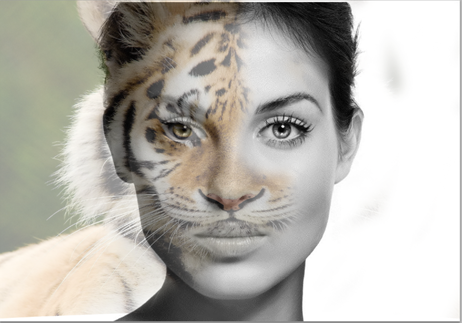 Adobe Photoshop: Morphing Human Faces With Animal Faces