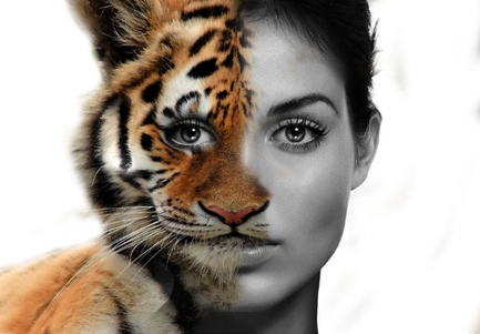 Adobe Photoshop: Morphing Human Faces With Animal Faces